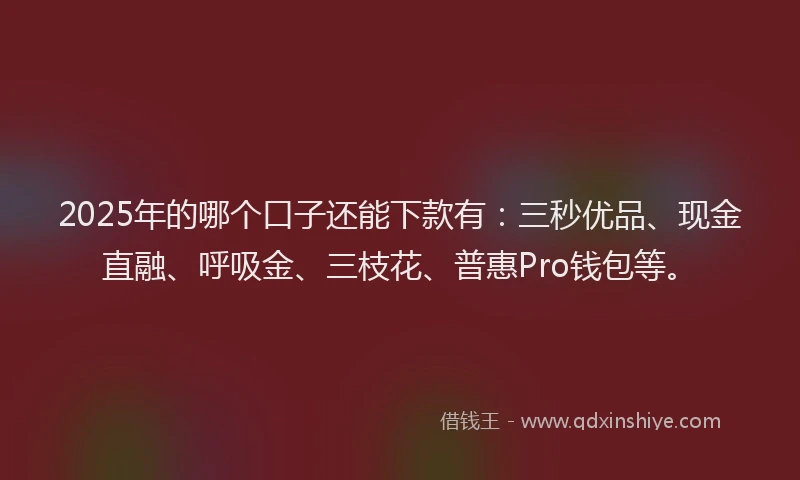 2025年的哪个口子还能下款有：三秒优品、现金直融、呼吸金、三枝花、普惠Pro钱包等。