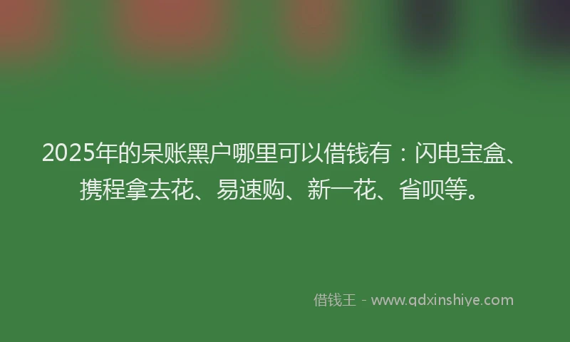 2025年的呆账黑户哪里可以借钱有：闪电宝盒、携程拿去花、易速购、新一花、省呗等。