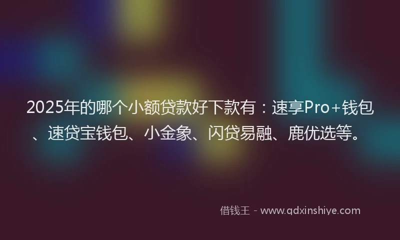 2025年的哪个小额贷款好下款有：速享Pro+钱包、速贷宝钱包、小金象、闪贷易融、鹿优选等。