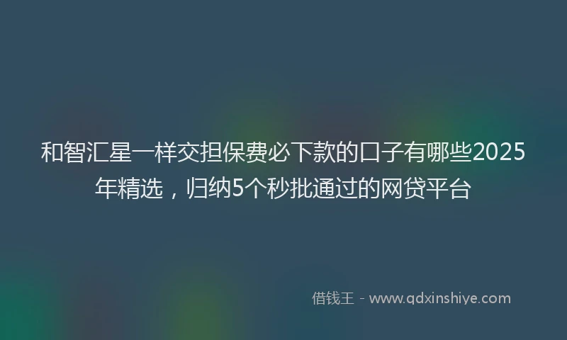 和智汇星一样交担保费必下款的口子有哪些2025年精选,归纳5个秒批通过的网贷平台