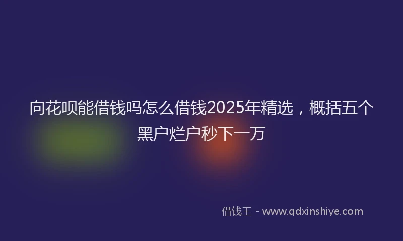 向花呗能借钱吗怎么借钱2025年精选，概括五个黑户烂户秒下一万