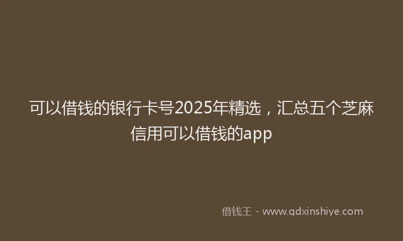 可以借钱的银行卡号2025年精选，汇总五个芝麻信用可以借钱的app