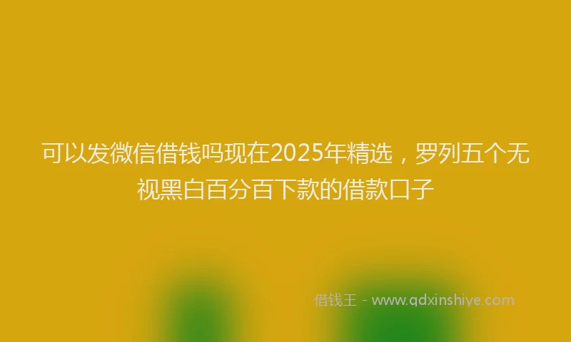 可以发微信借钱吗现在2025年精选，罗列五个无视黑白百分百下款的借款口子