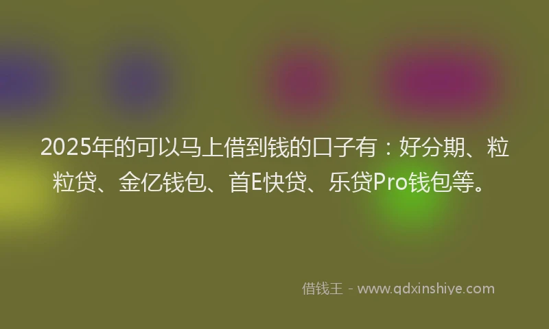 2025年的可以马上借到钱的口子有：好分期、粒粒贷、金亿钱包、首E快贷、乐贷Pro钱包等。