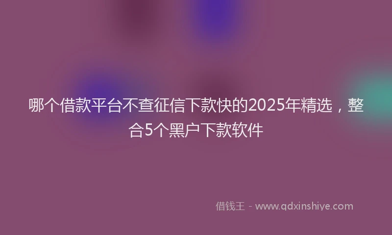 哪个借款平台不查征信下款快的2025年精选，整合5个黑户下款软件