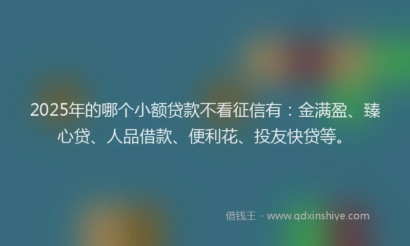 2025年的哪个小额贷款不看征信有：金满盈、臻心贷、人品借款、便利花、投友快贷等。