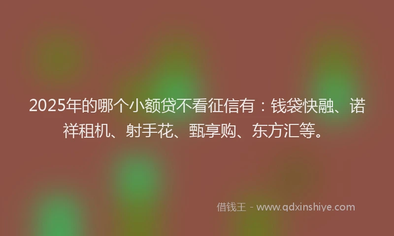 2025年的哪个小额贷不看征信有:钱袋快融、诺祥租机、射手花、甄享购、东方汇等。