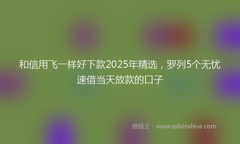 和信用飞一样好下款2025年精选，罗列5个无忧速借当天放款的口子