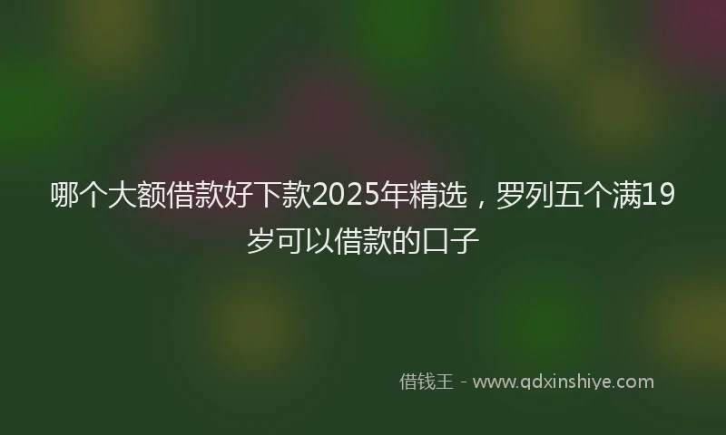 哪个大额借款好下款2025年精选，罗列五个满19岁可以借款的口子