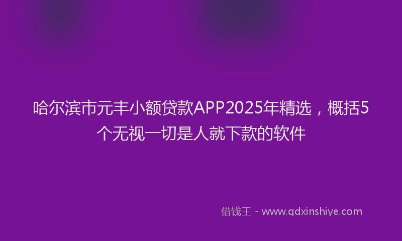 哈尔滨市元丰小额贷款APP2025年精选，概括5个无视一切是人就下款的软件