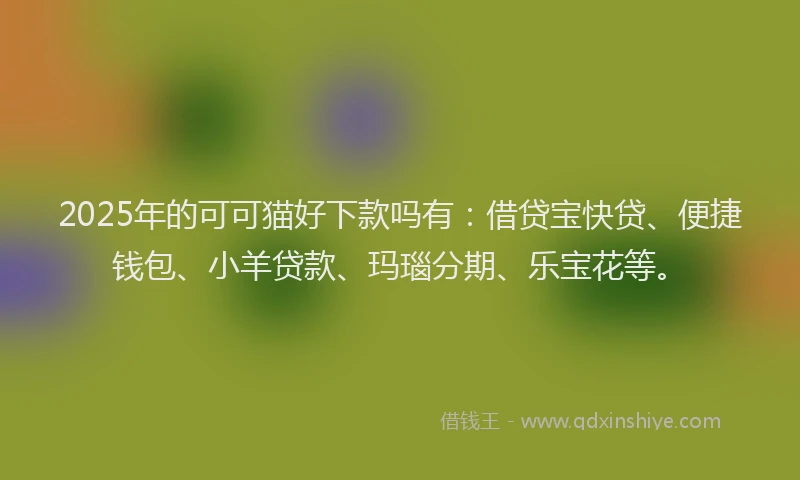 2025年的可可猫好下款吗有：借贷宝快贷、便捷钱包、小羊贷款、玛瑙分期、乐宝花等。