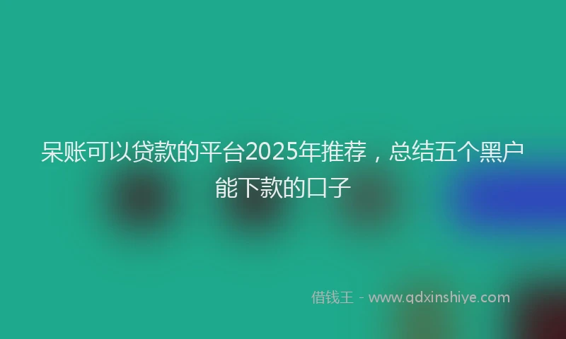 呆账可以贷款的平台2025年推荐，总结五个黑户能下款的口子