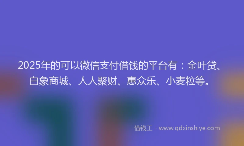 2025年的可以微信支付借钱的平台有：金叶贷、白象商城、人人聚财、惠众乐、小麦粒等。