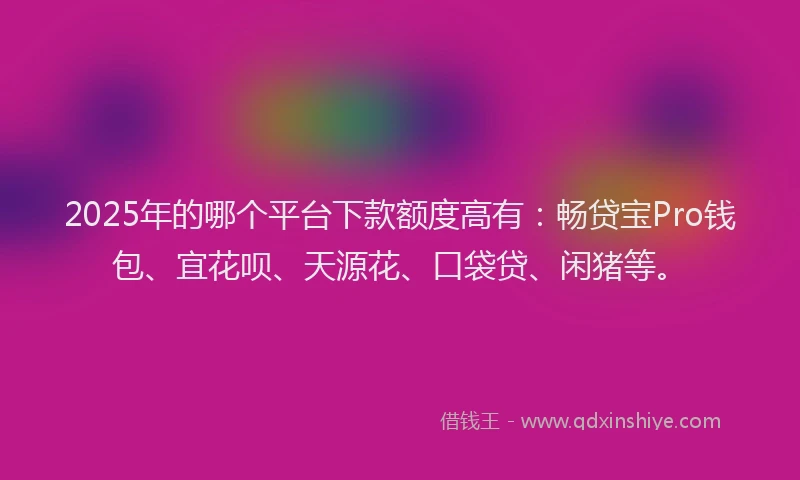 2025年的哪个平台下款额度高有：畅贷宝Pro钱包、宜花呗、天源花、口袋贷、闲猪等。