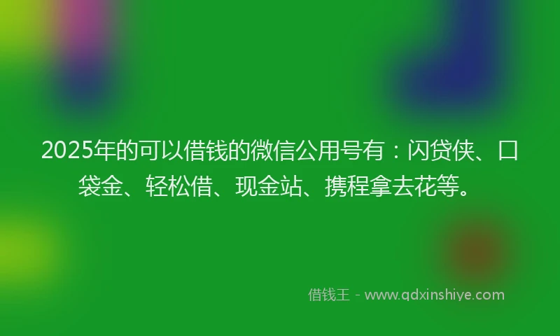 2025年的可以借钱的微信公用号有：闪贷侠、口袋金、轻松借、现金站、携程拿去花等。