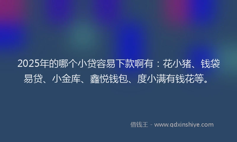 2025年的哪个小贷容易下款啊有：花小猪、钱袋易贷、小金库、鑫悦钱包、度小满有钱花等。