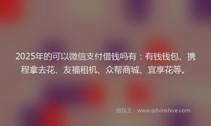 2025年的可以微信支付借钱吗有：有钱钱包、携程拿去花、友福租机、众帮商城、宜享花等。