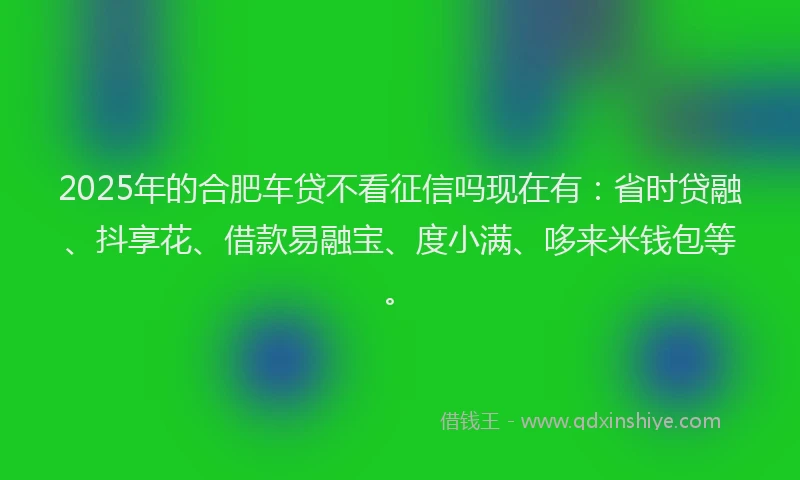 2025年的合肥车贷不看征信吗现在有：省时贷融、抖享花、借款易融宝、度小满、哆来米钱包等。