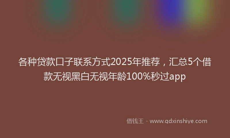 各种贷款口子联系方式2025年推荐，汇总5个借款无视黑白无视年龄100%秒过app