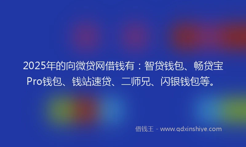 2025年的向微贷网借钱有：智贷钱包、畅贷宝Pro钱包、钱站速贷、二师兄、闪银钱包等。