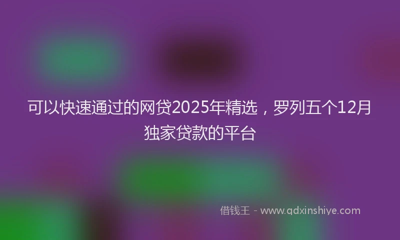 可以快速通过的网贷2025年精选，罗列五个12月独家贷款的平台