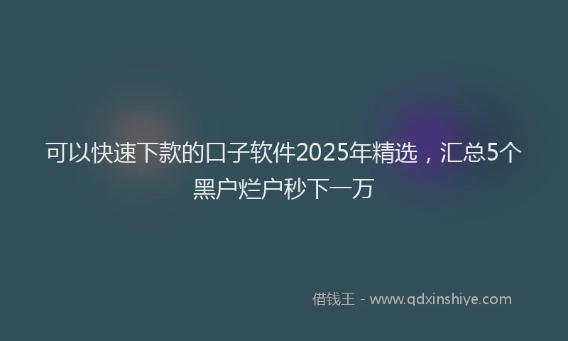 可以快速下款的口子软件2025年精选，汇总5个黑户烂户秒下一万