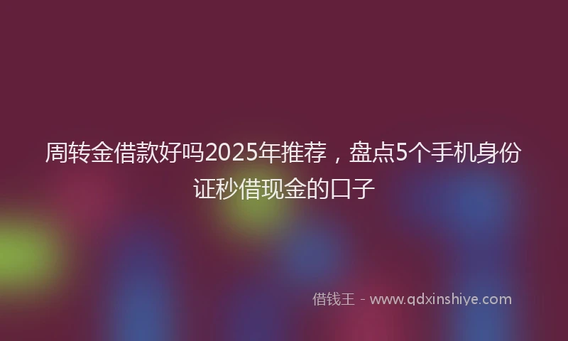 周转金借款好吗2025年推荐，盘点5个手机身份证秒借现金的口子