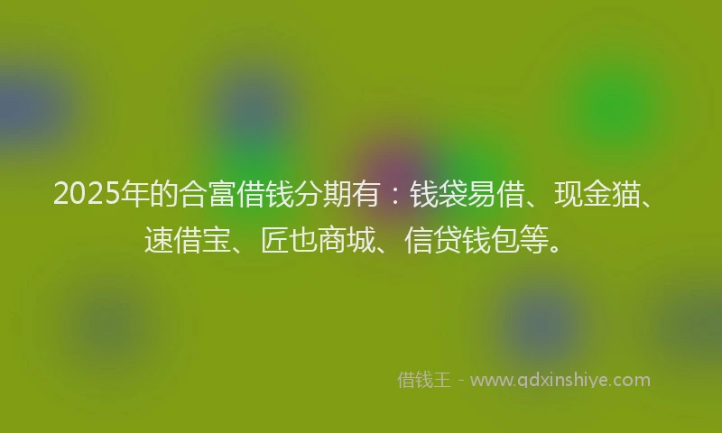 2025年的合富借钱分期有：钱袋易借、现金猫、速借宝、匠也商城、信贷钱包等。