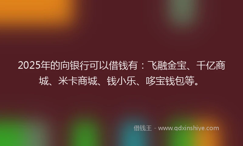 2025年的向银行可以借钱有：飞融金宝、千亿商城、米卡商城、钱小乐、哆宝钱包等。