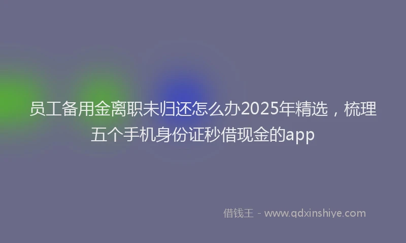 员工备用金离职未归还怎么办2025年精选，梳理五个手机身份证秒借现金的app