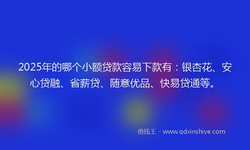 2025年的哪个小额贷款容易下款有：银杏花、安心贷融、省薪贷、随意优品、快易贷通等。
