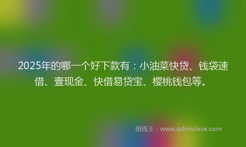 2025年的哪一个好下款有：小油菜快贷、钱袋速借、壹现金、快借易贷宝、樱桃钱包等。