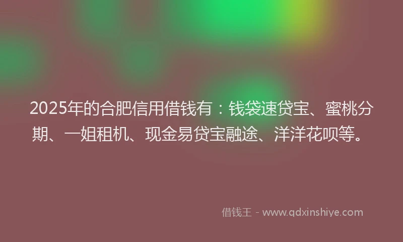 2025年的合肥信用借钱有：钱袋速贷宝、蜜桃分期、一姐租机、现金易贷宝融途、洋洋花呗等。
