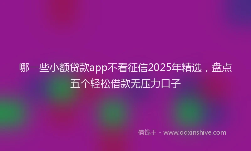 哪一些小额贷款app不看征信2025年精选，盘点五个轻松借款无压力口子