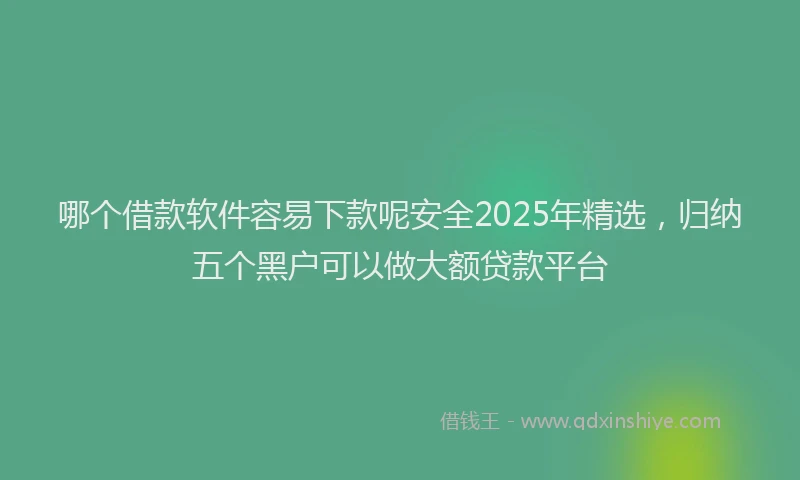哪个借款软件容易下款呢安全2025年精选，归纳五个黑户可以做大额贷款平台