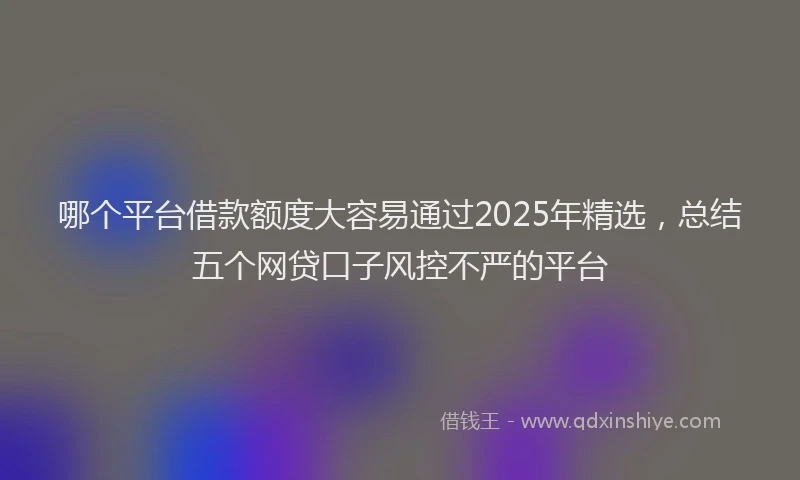 哪个平台借款额度大容易通过2025年精选，总结五个网贷口子风控不严的平台