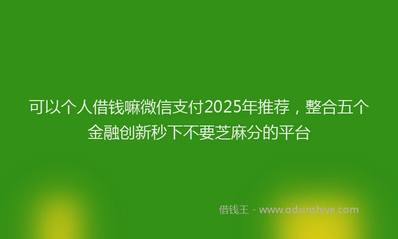 可以个人借钱嘛微信支付2025年推荐，整合五个金融创新秒下不要芝麻分的平台