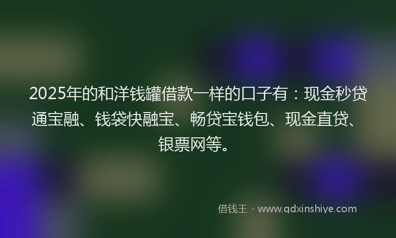 2025年的和洋钱罐借款一样的口子有：现金秒贷通宝融、钱袋快融宝、畅贷宝钱包、现金直贷、银票网等。