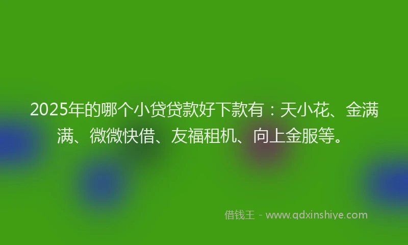2025年的哪个小贷贷款好下款有：天小花、金满满、微微快借、友福租机、向上金服等。