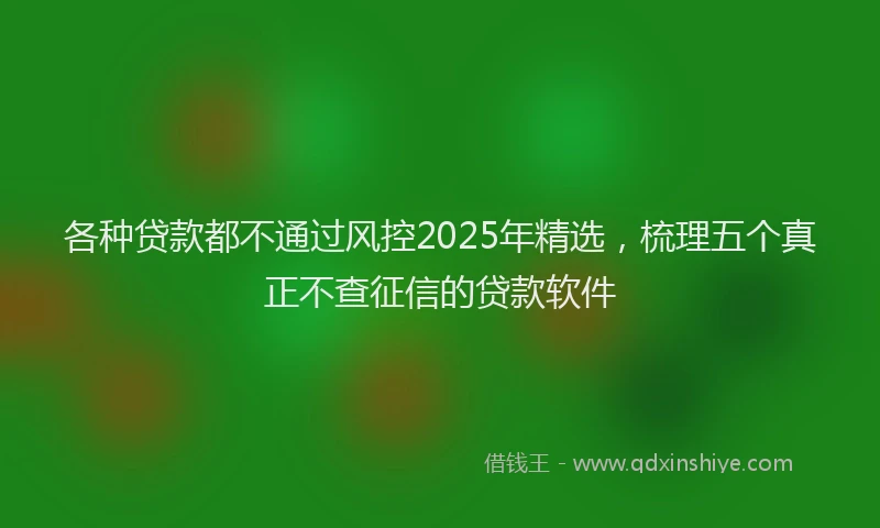 各种贷款都不通过风控2025年精选，梳理五个真正不查征信的贷款软件
