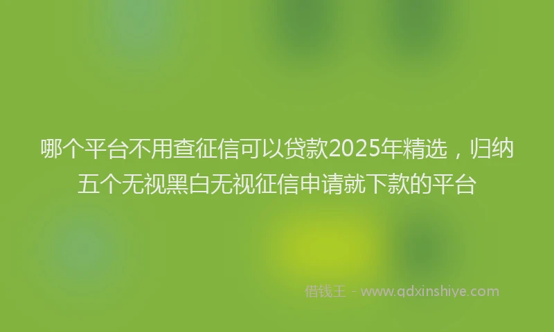 哪个平台不用查征信可以贷款2025年精选，归纳五个无视黑白无视征信申请就下款的平台