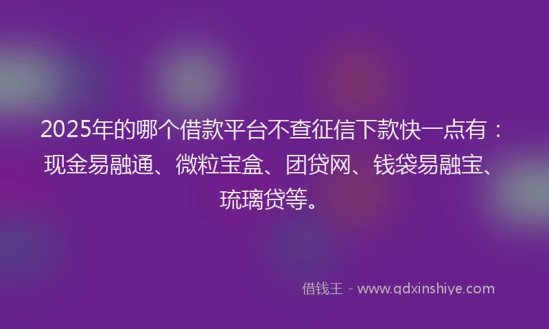 2025年的哪个借款平台不查征信下款快一点有：现金易融通、微粒宝盒、团贷网、钱袋易融宝、琉璃贷等。