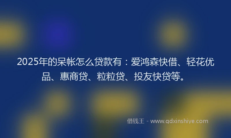 2025年的呆帐怎么贷款有：爱鸿森快借、轻花优品、惠商贷、粒粒贷、投友快贷等。