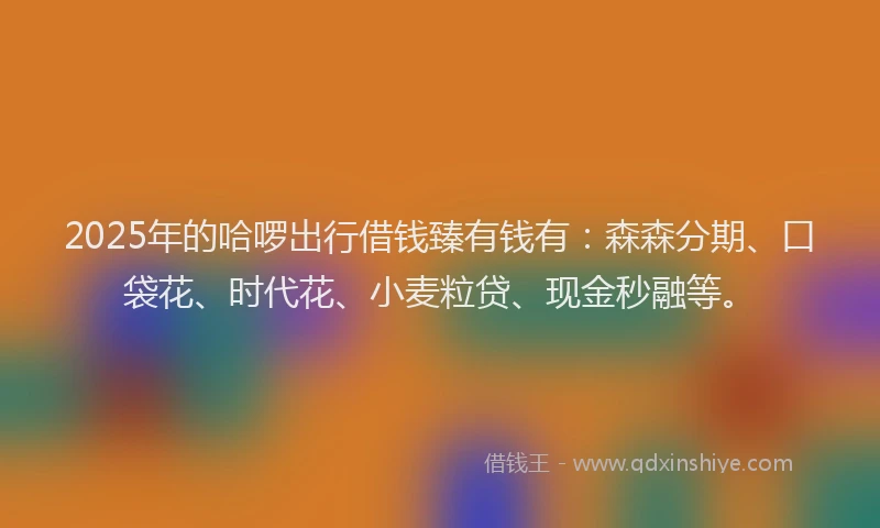 2025年的哈啰出行借钱臻有钱有：森森分期、口袋花、时代花、小麦粒贷、现金秒融等。