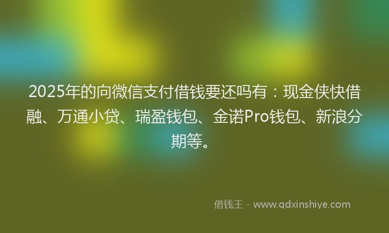 2025年的向微信支付借钱要还吗有：现金侠快借融、万通小贷、瑞盈钱包、金诺Pro钱包、新浪分期等。