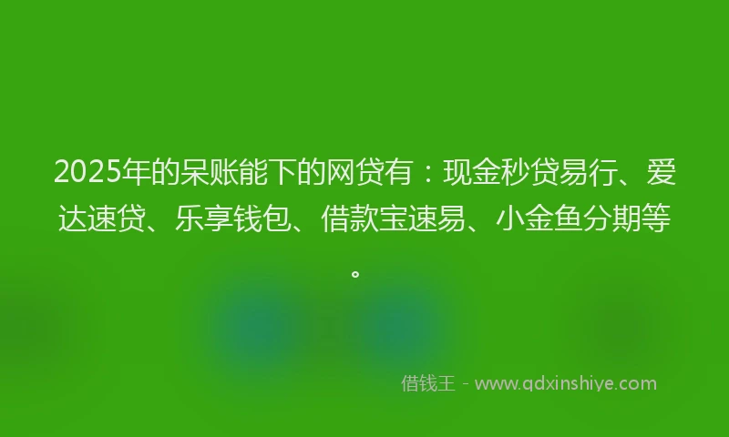 2025年的呆账能下的网贷有：现金秒贷易行、爱达速贷、乐享钱包、借款宝速易、小金鱼分期等。