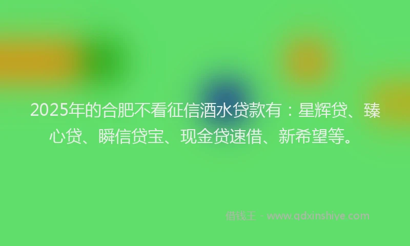 2025年的合肥不看征信酒水贷款有：星辉贷、臻心贷、瞬信贷宝、现金贷速借、新希望等。