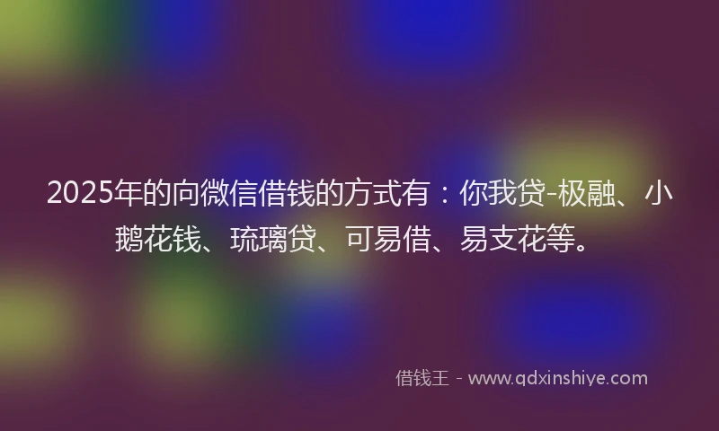 2025年的向微信借钱的方式有：你我贷-极融、小鹅花钱、琉璃贷、可易借、易支花等。