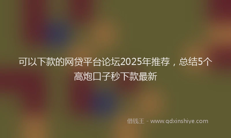 可以下款的网贷平台论坛2025年推荐，总结5个高炮口子秒下款最新