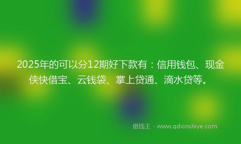 2025年的可以分12期好下款有：信用钱包、现金侠快借宝、云钱袋、掌上贷通、滴水贷等。